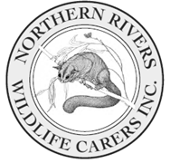 Northern Rivers Wildlife Carers