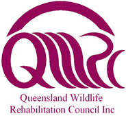 Qld Wildlife Rehabilitation Council
