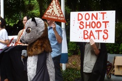 Protest against shooting  Flying-foxes in QLD, 2012
