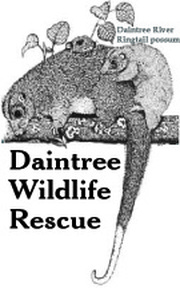 Daintree Wildlife Rescue