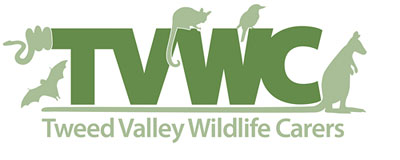 Tweed Valley Wildlife Carers