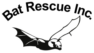 Bat Rescue Inc