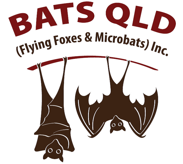 Bats Queensland
